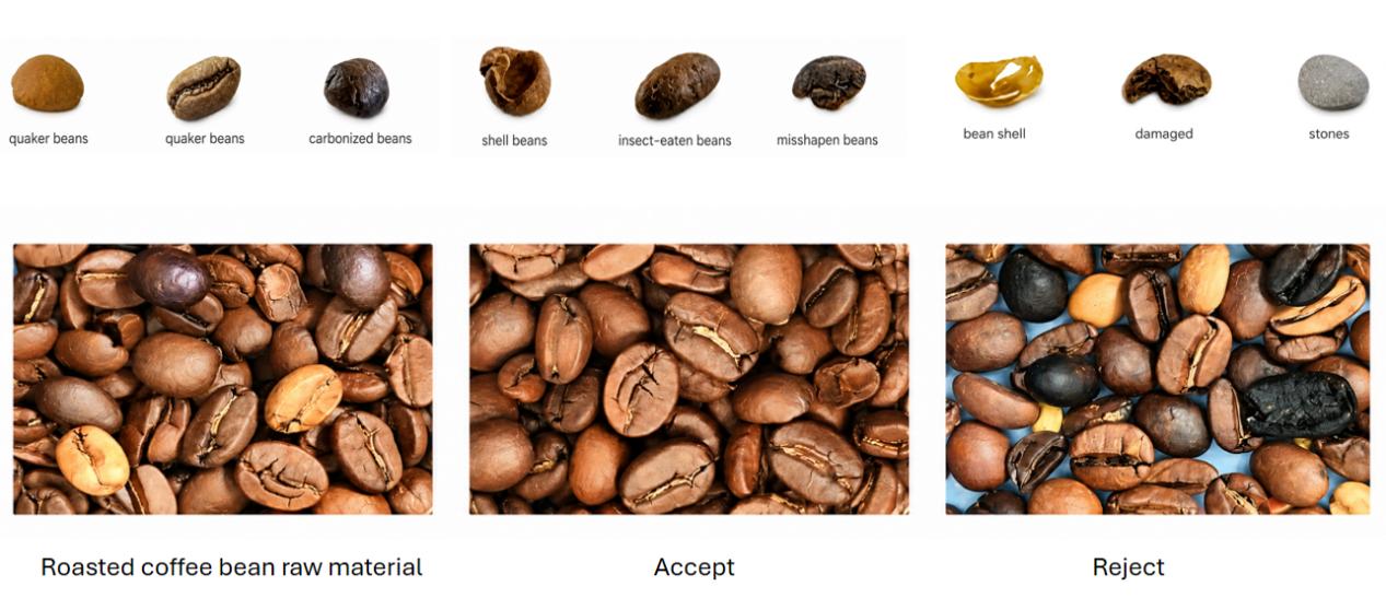 coffee bean sorting.jpg